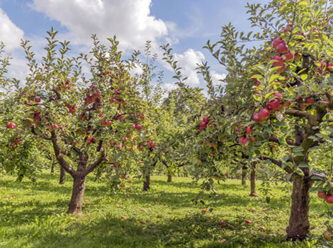 AdobeStock_173047781